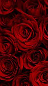22 Trendy Wallpaper Backgrounds Aesthetic Dark Red Red Roses Wallpaper Red Wallpaper Red Aesthetic Grunge