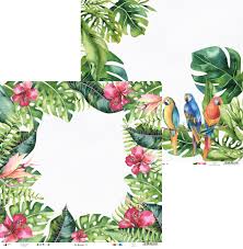 Showing assists, time on pitch and the shots on and off target. Piatek 13 Let S Flamingle Collection 12 X12 Cardstock No 2