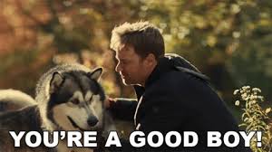 Virtual movie nights with groupwatch. Youre Agood Boy Hero Dog Journey Home Gif Youreagoodboy Herodogjourneyhome Gooddog Discover Share Gifs