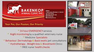 We did not find results for: 24 Hour Emergency Veterinary Care Bakenkop Animal Clinic Facebook