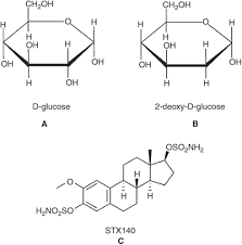 Causes depletion of cellular atp. 2 Methoxyoestradiol 3 17 O O Bis Sulphamate And 2 Deoxy D Glucose In Combination A Potential Treatment For Breast And Prostate Cancer British Journal Of Cancer
