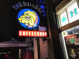 It is also the or one of the oldest coffeeshops, the owner started this first one in 1974! Photo3 Jpg Picture Of The Bulldog Energy Coffeeshop Amsterdam Tripadvisor