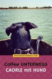 Da dort überall am see. Am Hundestrand Einmal Caorle Mit Hund Bitte Hundestrand Urlaub Mit Hund Hunde