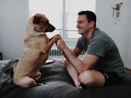 Complete this quiz and find out does your dog love you. This Is How You Know If Your Dog Loves You As Much As You Love Them Thought Catalog