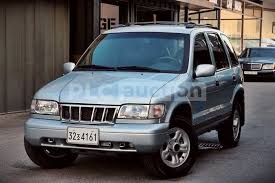 Image result for Brave Blue 1994 Kia