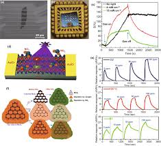 Prime stability seems to correlate best with real life stability, for me at least. Room Temperature Gas Sensors Under Photoactivation From Metal Oxides To 2d Materials Springerlink