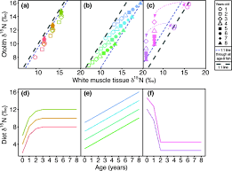 Primaria comunei tintesti, judetul buzau organizeaza concurs de recrutare pentru. Comparison Of The Isotopic Composition Of Fish Otolith Bound Organic N With Host Tissue