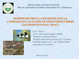 Translations of the word semak from indonesian to english and examples of the use of semak in a sentence with their translations: Morphometrical And Histological Comparative Analyses Of Omnivorous Birds Gastrointestinal Tract Online Presentation