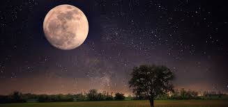 The past has much to teach us, of course. Myth Or Fact More Women Go Into Labor During A Full Moon Duke Health