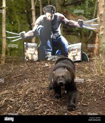 To celebrate the launch of X-Men Origins: Wolverine the video game in the  UK on 1st May, games publisher Activision is sponsoring the UKs only  family of wolverines at Edinburgh Zoo in