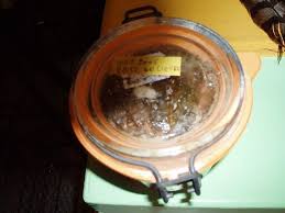 Pate De Lievre Recette Pate De Lievre Lapin Chasseur Terrine De Lievre