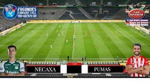 Pumas unam sẽ có một trận đấu khó khăn vào 10/04 07:30, tại liga mexico đêm nay. Zrld Dm 4xjigm