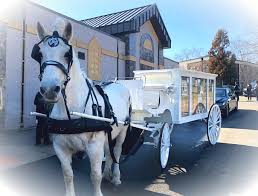 Horse Drawn Funeral Carriage In Bloomfield Nj Horses Horse Drawn Hearse