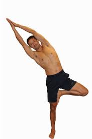 In bikram yoga, tree pose (called tadasana in bikram yoga) is a slightly different standing posture, with one leg folded in padmasana and the hands together over the chest in prayer position. Tree Pose