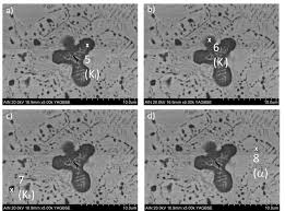 Image result for alloy edx micrograph