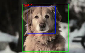 255 top names for your dog. Deep Learning Recognise Your Home Pets By Chun Hei Michael Chan Towards Data Science