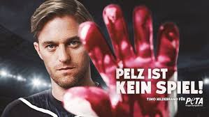 Ungewöhnliches Tierschutzprojekt: Hühner in einer Stuttgarter  Reihenhaussiedlung