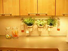 My Ikea Trip Today Herb Garden In Kitchen Window Herb Garden Kitchen Herbs