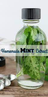 Have Mint Taking Over The Garden This Homemade Mint Extract Is So Easy To Make And Such A Great Way To Use Up A Large Amount Of Mint Extract Mint Diy