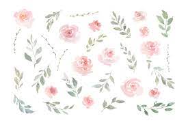 Maybe you would like to learn more about one of these? Transparent Blush Pink Flowers Png Rwanda 24