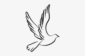 How do you draw a deer easy? Dove Png Drawing Clipartxtras Dove Drawing Png Dove Line Drawing Png Image Transparent Png Free Download On Seekpng