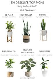 Easy Indoor Plant Guide How To Keep Them Alive Best Container Guide Indoor Plants Plants Plant Guide