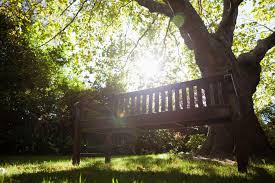 Nur noch 9 auf lager. Leder Land Corex Gmbh Ledergrosshandel Bankauflagen Sitzkissen Sofakissen Handemade By Corex