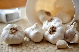 By including garlic in your diet, you can prevent heart disease, reduce bad cholesterol, inhibit cancerous cells and get antibacterial effects. Malayalam News à´µ à´³ à´¤ à´¤ à´³ à´³ à´‡à´™ à´™à´¨ à´¸ à´• à´· à´š à´š à´µ à´• à´• à´¦ àµ¼à´˜à´¨ àµ¾ à´¨ àµ¾ à´• à´Ÿ à´• à´¤ à´¸ à´• à´· à´• à´• How To Store Fresh Garlic For Months News18 Kerala Life Latest Malayalam News