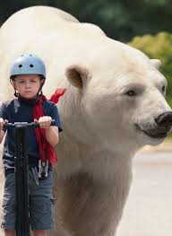 Disney S New Movie About A Grade Schooler And His Polar Bear Is Full Of Deadpan Humor In 2020 Deadpan Humor New Movies Polar Bear