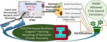 How to use fish scraps as fertilizer. Fish And Fish Waste Based Fertilizers In Organic Farming With Status In Norway A Review Sciencedirect