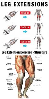 When it comes to quadriceps training, there are many movements that are pure nonsense resulting in nothing but knee pain. 86 Bein Training Ideen In 2021 Training Beintraining Fitnessubungen