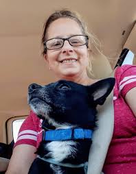 Missing Dutch Shepherd in Albuquerque, New Mexico