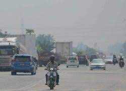 Dikutip dari conserve energy future, berikut ini beberapa efek polusi udara antara lain dampak langsung polusi udara adalah perubahan langsung yang dialami seluruh dunia karena pemanasan global. Jerebu Di Selangor Sejak Tiga Minggu Lalu Utusan Digital