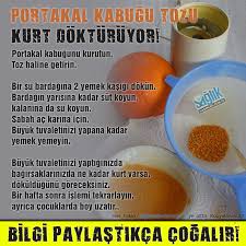 Portakal Kabugunun Saglik Acisindan Faydalari Cok Az Bilinen Bir Seydir Portakal Kabugunda Bulunan C Vitamini Orani Meyve Saglik Saglikli Saglikli Yasam Tarzi
