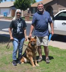 Herzog german shepherds offers a lifetime warranty on all puppies sold to replace with an equal value puppy/dog. 3 Best German Shepherd Rescues In Arizona 2021 We Love Doodles