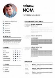 Si vous n'avez pas trouvé votre bonheur aujourd'hui… vous avez des demandes spéciales. Cv Francais Template