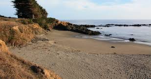 Shell Beach Sea Ranch Ca California Beaches