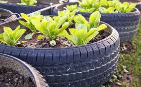 Cooles Gemusebeet Aus Autoreifen Autoreifen Garten Pflanzen Blumengarten