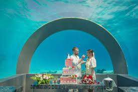 Visit Maldives - News > You & Me by Cocoon Maldives Introduces Underwater  Weddings at H20