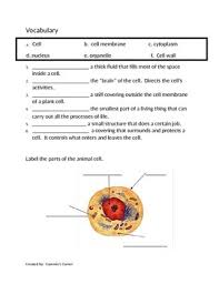 We did not find results for: Cells Unit Assessment 5th Grade Science By Cammie S Corner Tpt