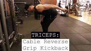 Maybe you would like to learn more about one of these? Triceps Cable Reverse Grip Kickback Youtube