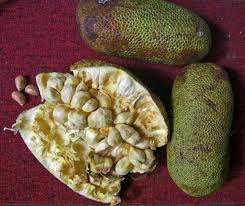 Malaysian fruit is plentiful, but sometimes confusing. Popular Tropical Fruits Of Malaysia Delishably