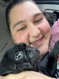 Looking for male companion for breeding in North Georgia