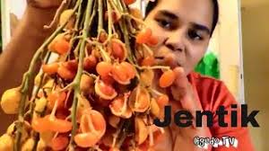 We did not find results for: Buah Jentik Jentik Fruit Baccaurea Polyneura Youtube