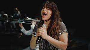 Her salary increases rapidly through her successful acting and singing profession. Ellen Ten Damme