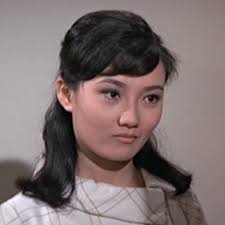 Ye lin chun lian (1969)