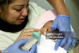 267 County Usc Medical Center Stock Photos, High-Res Pictures, and Images