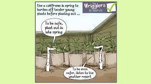 Riesenauswahl an produkten für zuhause. When Is It Safe To Plant Out Your Tender Young Plants Sillypics