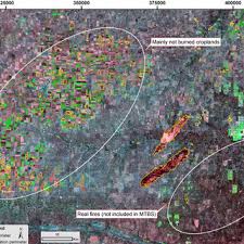 And now, visualize the immersive maps and stories you've created with google earth on web on your mobile device. Pdf Bams A Tool For Supervised Burned Area Mapping Using Landsat Data