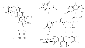 Image result for Huberantha